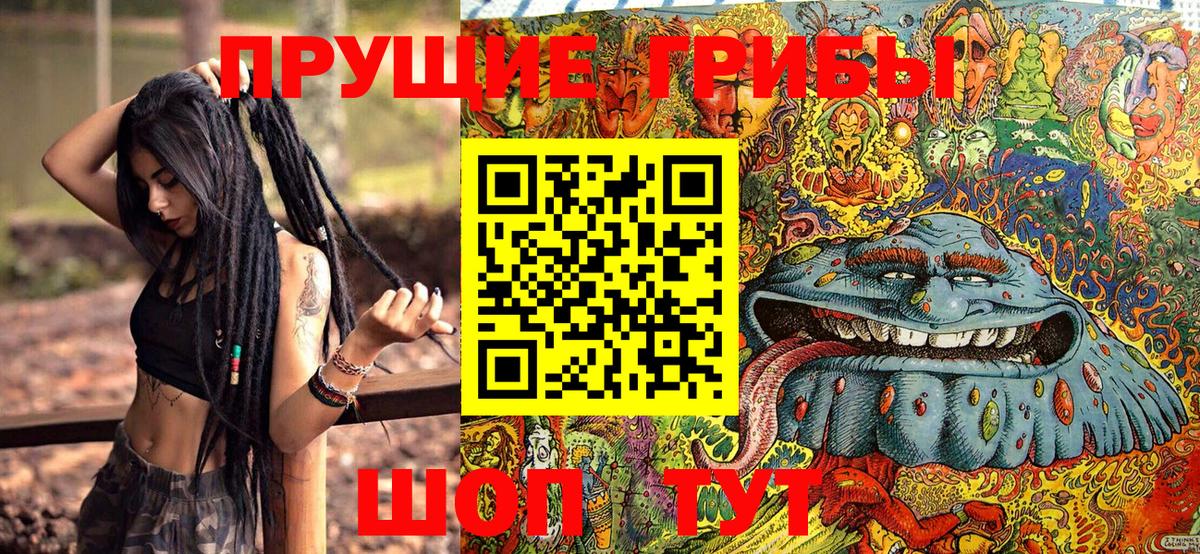 Галлюциногенные грибы Psilocybe  Псилоцибиновые грибы MAGIC MUSHROOMS  Кузнецк  купить закладку  Вход с VPN 