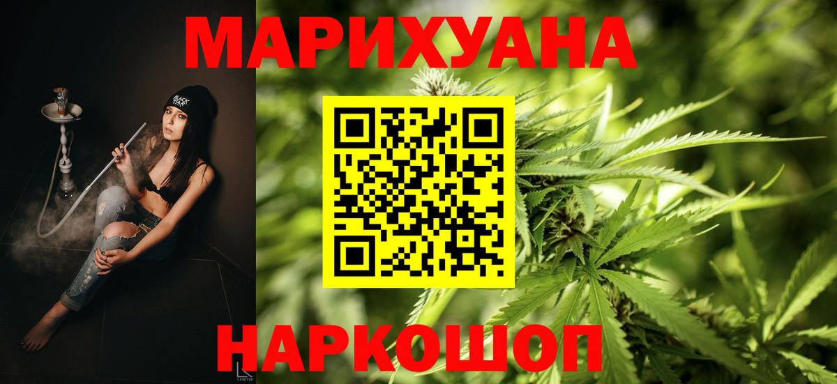 Конопля гибрид Кузнецк